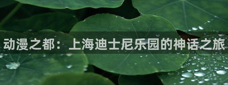 动漫天堂动漫：动漫之都：上海迪士尼乐园的神话之旅