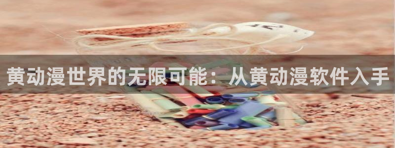 天堂动漫网官网正版入口：黄动漫世界的无限可能：从黄动漫软件入手