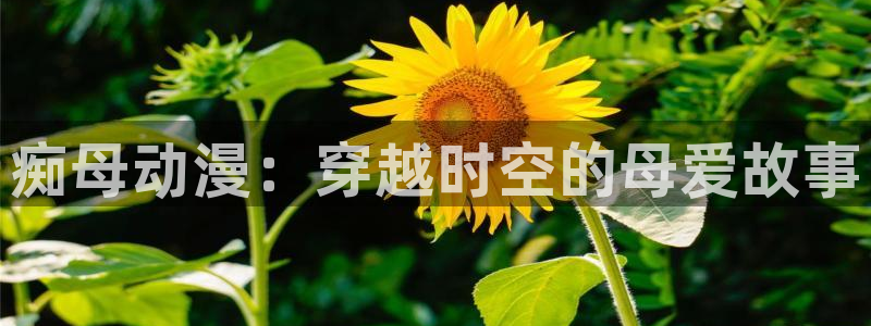 妹天堂动漫在线：痴母动漫：穿越时空的母爱故事