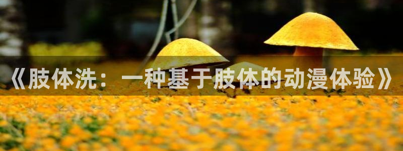 动漫天堂官方正版入口怎么下载：《肢体洗：一种基于肢体的动漫体验》