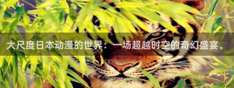 动漫天堂3d：大尺度日本动漫的世界：一场超越时空的奇幻盛宴。
