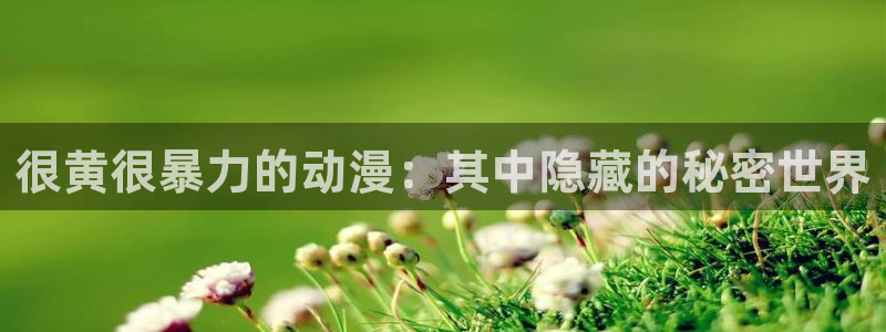 妹天堂动漫：很黄很暴力的动漫：其中隐藏的秘密世界